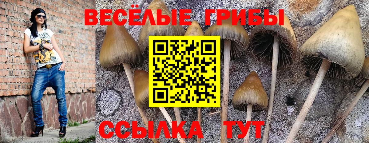 Галлюциногенные грибы Magic Shrooms  Псилоцибиновые грибы MAGIC MUSHROOMS  Новочебоксарск  Вход с VPN 