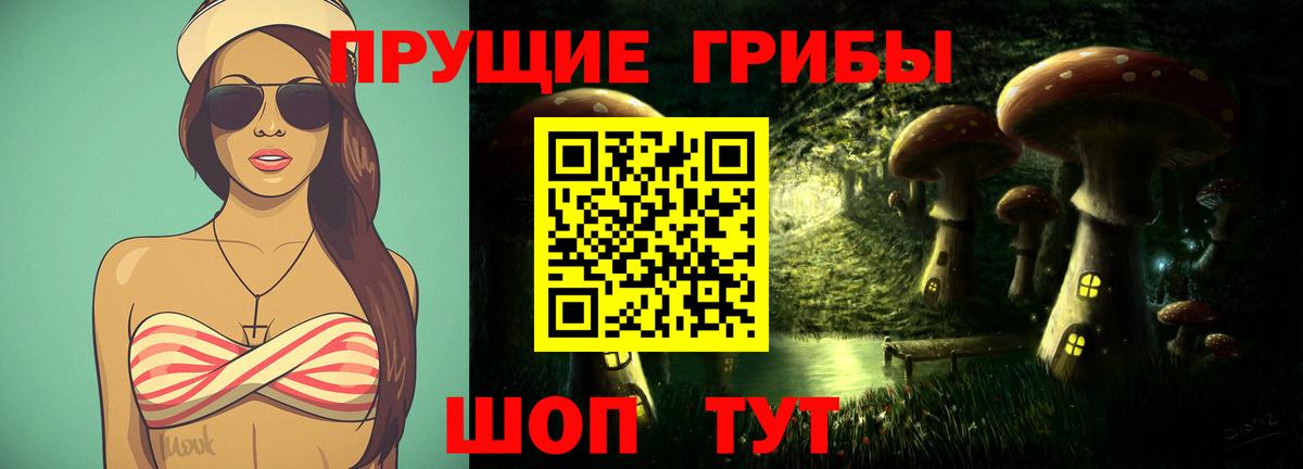 Псилоцибиновые грибы мицелий Новочебоксарск